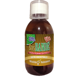 FL Bois Bandé Bois Bande Goût 200ml Menthe